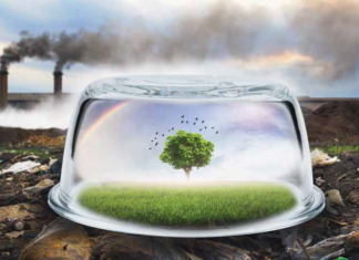 W magazynie – Co Pan Profesor radzi?