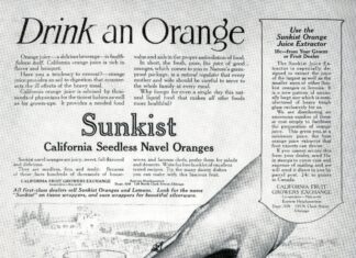 Dzięki komu pijemy sok pomarańczowy?