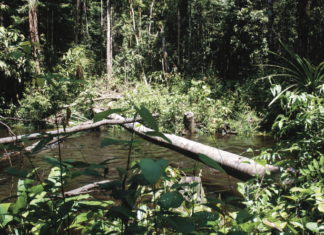 Dzikość serca, czyli tropami Jacka Pałkiewicza
