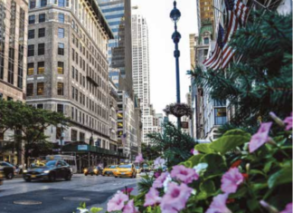 Prawda o portierach w Nowym Jorku